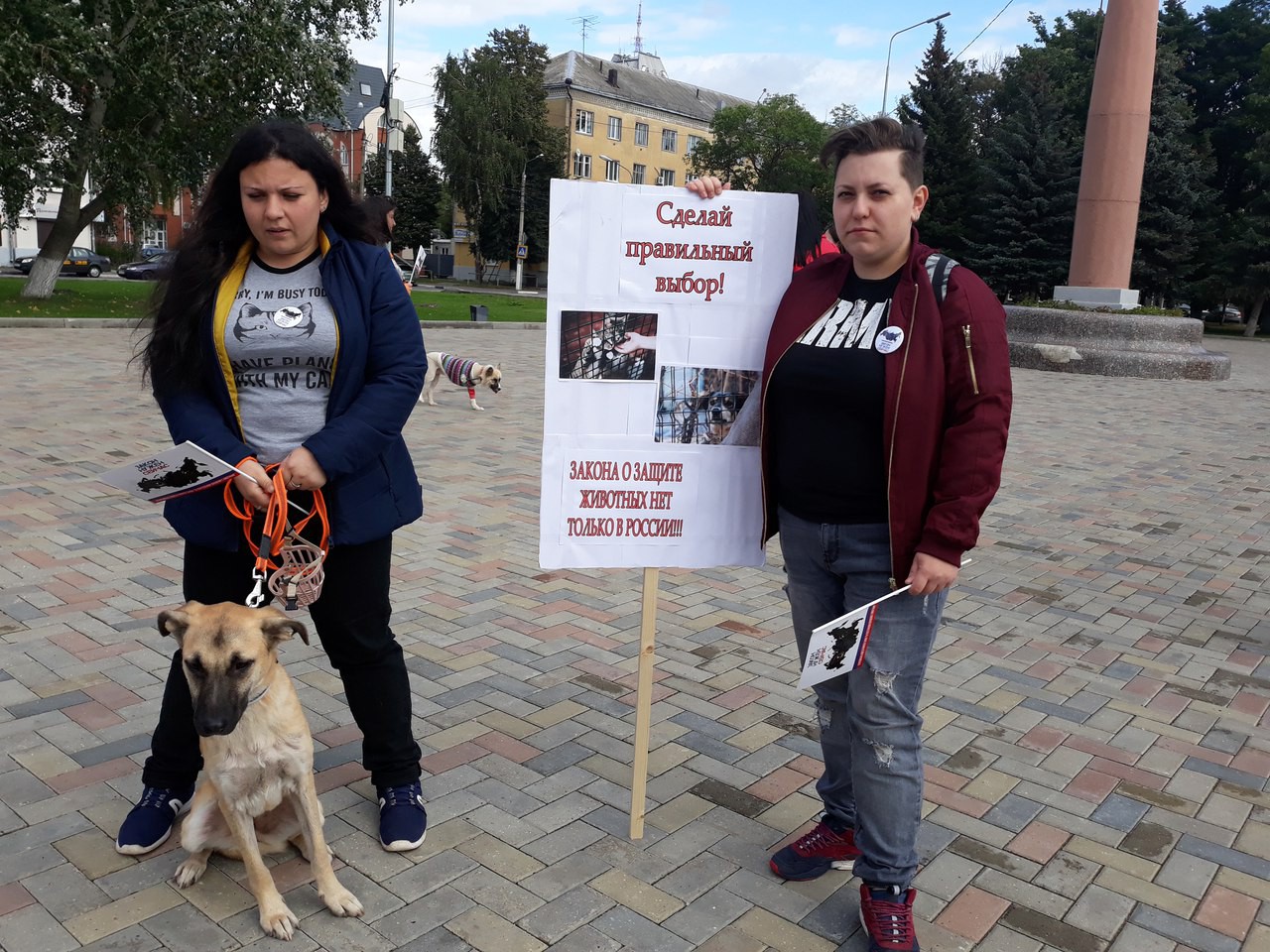 Закон о правах животных китай Закон о правах животных китай