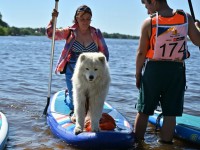 В Тверской области пройдут соревнования по классическому сапсерфингу и для райдеров с собаками   - Новости ТИА