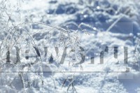 В Тверской области на смену оттепели придет мороз  - Новости ТИА