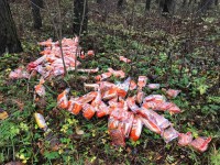 В лесу кто-то выкинул десятки батонов и булок - новости ТИА