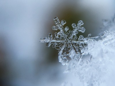 В Тверской области все  выходные будет идти снег - новости ТИА