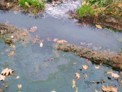 Фекальные реки под Тверью загрязнили почву на 800 000 рублей - новости ТИА