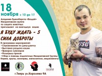 В Твери пройдёт первая выставка-раздача кошек и благотворительный турнир по джиу-джитсу - Новости ТИА