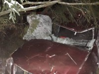 В Тверской области водитель сбил лося и сам улетел в кювет - Новости ТИА