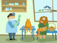 Как всё устроено: откровенное интервью тверского ветеринара - Новости ТИА