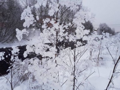 В Тверскую область вновь возвращаются морозы до -20 - Новости ТИА