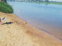9 июня в Тверской области утонули два человека - Новости ТИА