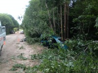 В Тверской области по вине пьяного водителя погибли два человека - Новости ТИА