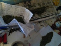 В Осташковском районе у мужчины нашли крупную партию марихуаны - Новости ТИА