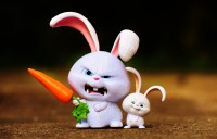 Интернет-мошенники придумали новый способ обмана "Белый кролик" - Новости ТИА