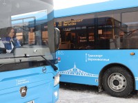 На работу с зарплатой от 45 000 рублей приглашают водителей автобусов - новости ТИА