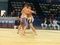 В Твери открыта школа борьбы сумо - Новости ТИА