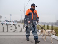Спасатели Евгения Юрова и лабрадор Тася искали взрывчатку у дворца спорта "Юбилейный " в Твери - Новости ТИА