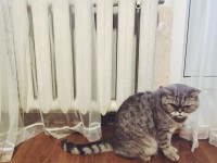 3 мая в Твери выключат отопление - Новости ТИА