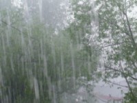 МЧС предупреждает о грозе и сильном ветре в Тверской области 25 мая - новости ТИА