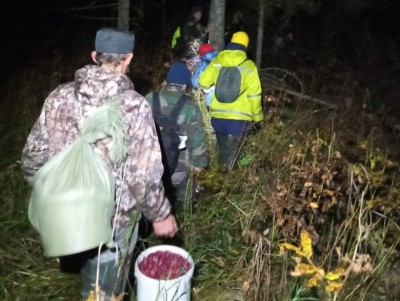 Волонтёры по бобровой плотине вывели "потеряшек" из тверского леса - Новости ТИА