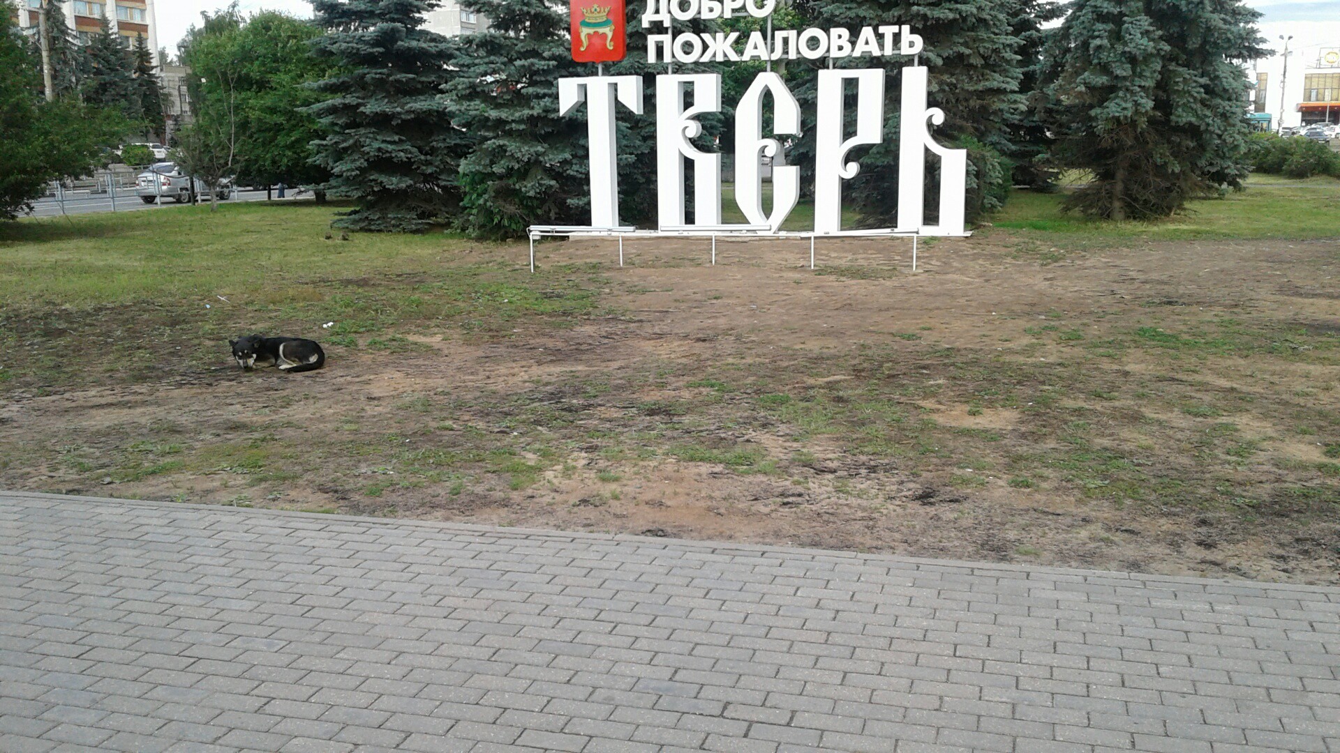 <strong>Автор: ТИА</strong><p></p>