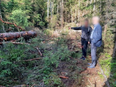 В Тверской области мужчина нарубил леса на 1,4 миллиона рублей - новости ТИА