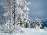 В Тверскую область возвращаются морозы со снегом  - Новости ТИА