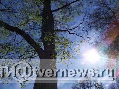 Из-за потепления в домах Твери станет прохладнее - Новости ТИА