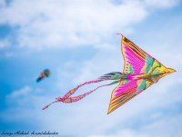 Жителей Твери приглашают на фестиваль воздушных змеев - новости ТИА