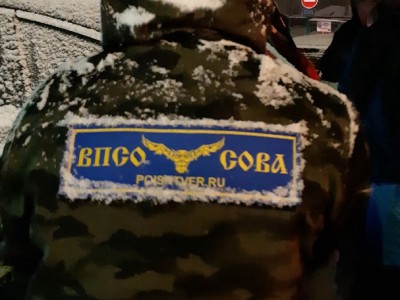 Поиски 7-летнего мальчика стали поводом для создания отряда "Сова" в Торопце - Новости ТИА