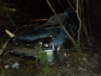 В Тверской области водитель иномарки вылетел в кювет и врезался в дерево - Новости ТИА