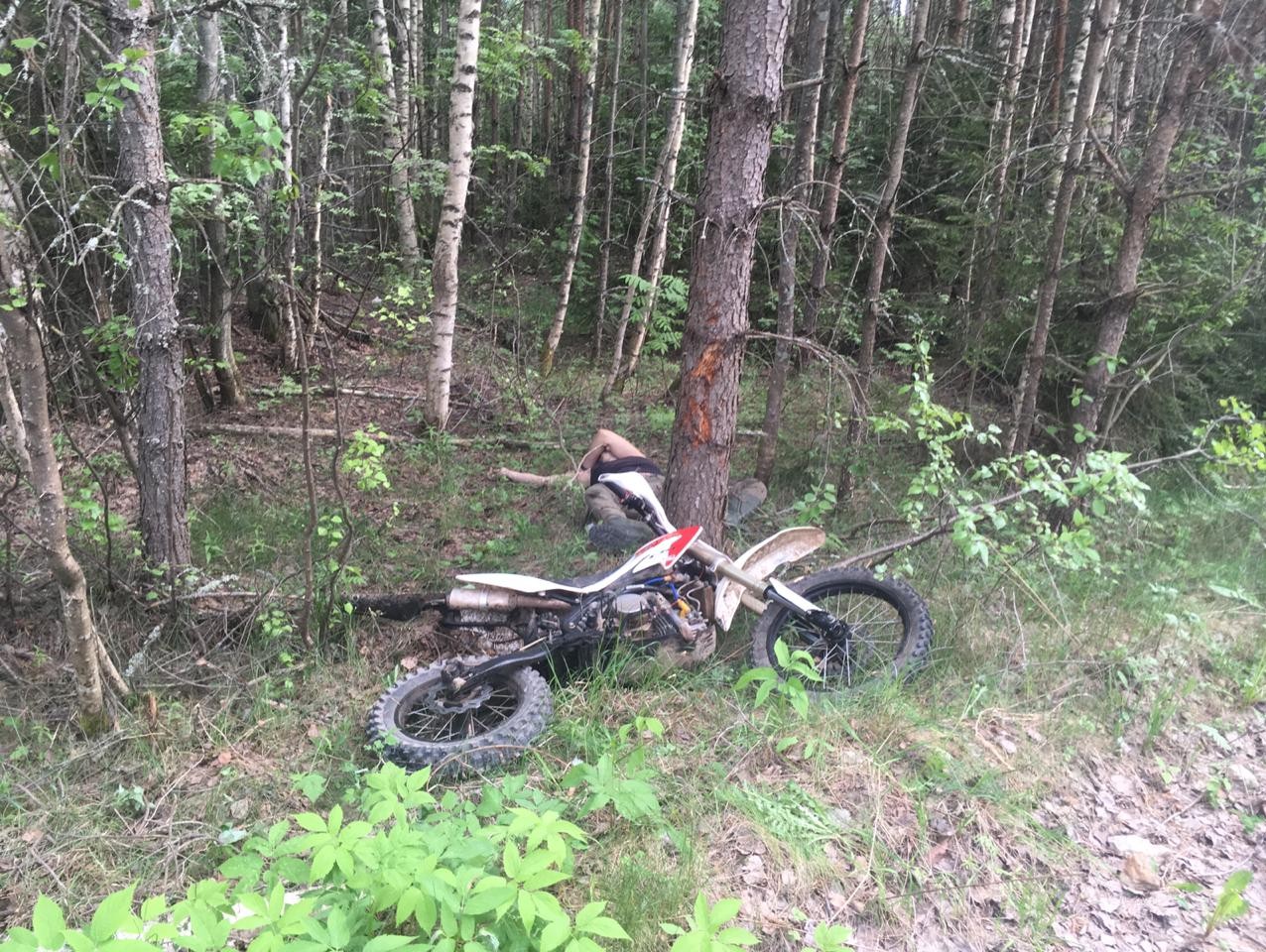 Мотоцикл врезался в дерево