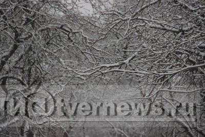 В Тверской области снова обещают сильный снегопад - новости ТИА