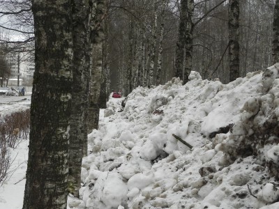 Завалили снегом "Тропу здоровья" - Народные Новости ТИА