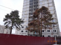 В Твери суд признал законным строительство домов у Бобачёвской рощи - Новости ТИА