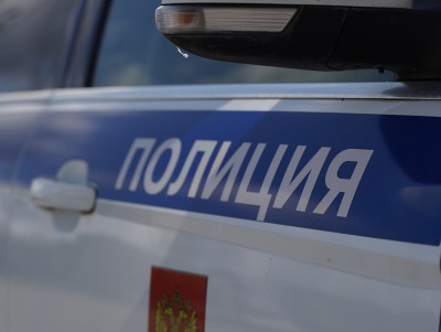 В Тверской области в аварии с лосем пострадали три человека - новости ТИА