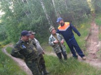 Для тверских поисковиков начался "грибной сезон": первую бабушку нашли живой и невредимой - Новости ТИА