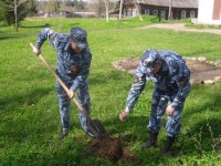Сотрудники ЛИУ-3 Тверской области высадили деревья в «Саду Победы» - Новости ТИА