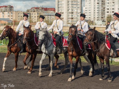 В Твери пройдёт самый необычный День Физкультурника - конный  - Новости ТИА
