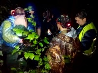 Двух заблудившихся в Тверской области женщин выводили из болота четыре часа - новости ТИА