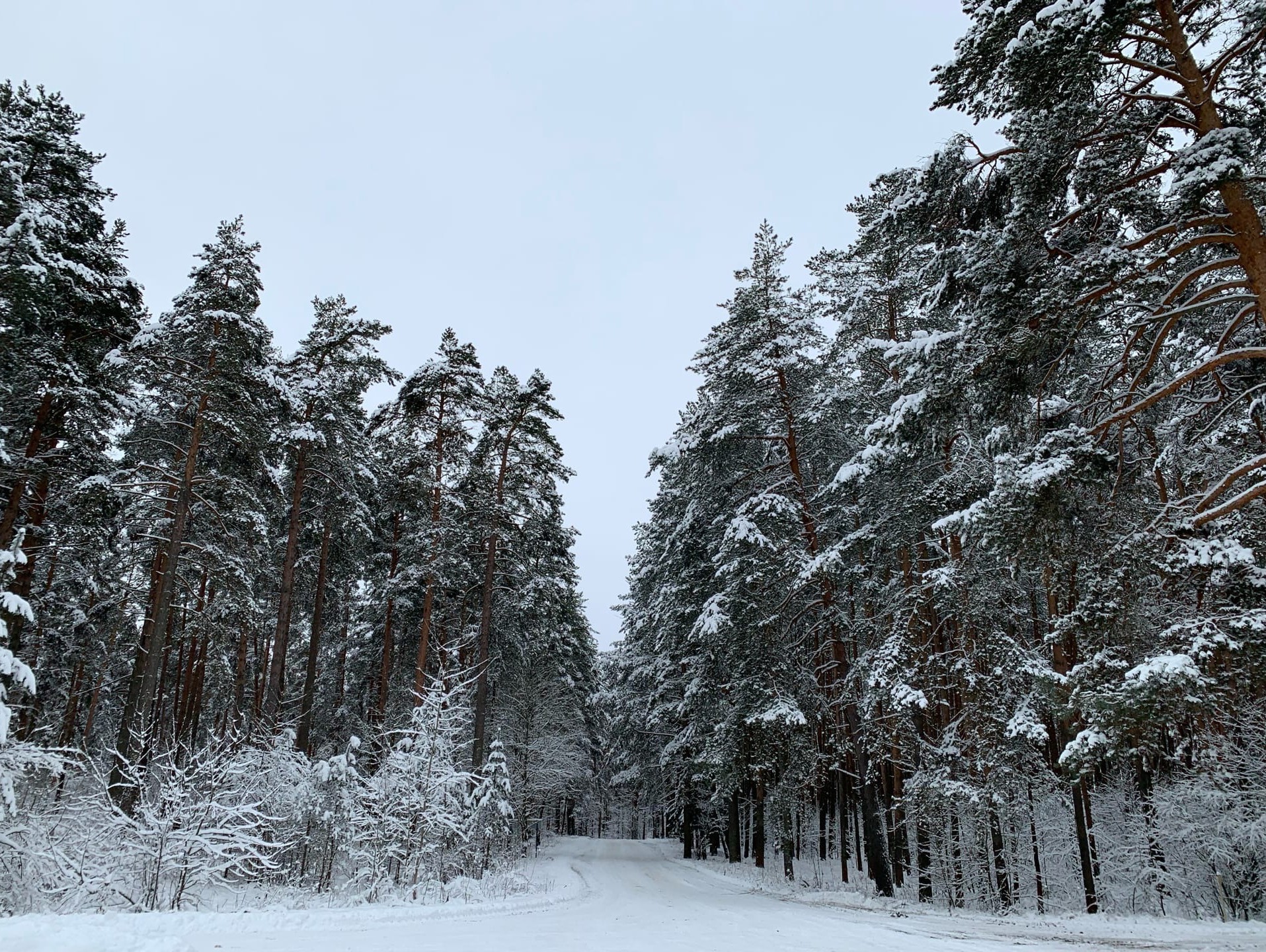 После оттепели в Тверской области снова похолодает до -26 | 13.12.2021 |  Тверь - БезФормата