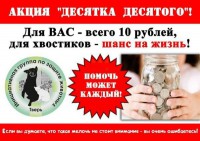 В Твери началась благотворительная акция в помощь бездомным животным - Новости ТИА