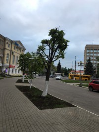 ОБКОРНАЛИ... - народные новости ТИА