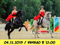 В Твери пройдёт лошадиный фестиваль - новости ТИА