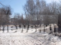В Тверскую область пришли потепление и слякоть - Новости ТИА