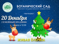 20 декабря тверитян приглашают в Ботанический сад на семейный праздник "Живая ёлочка" - новости ТИА