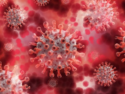 Ученые нашли антитело, которое защищает  от всех штаммов коронавируса - новости ТИА