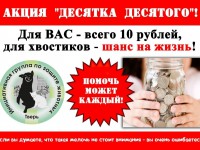 В Твери проходит ежемесячная благотворительная акция "Десятка десятого" - Новости ТИА