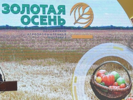 <p></p>