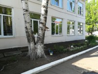 В Твери в детском саду ребенок выпал из окна - Новости ТИА