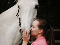 Тверская студентка с помощью неравнодушных людей спасла старого коня от убоя  - Новости ТИА
