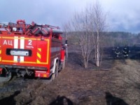 В Калининском районе пожарные потушили лесной пожар на площади 5 гектаров - Новости ТИА