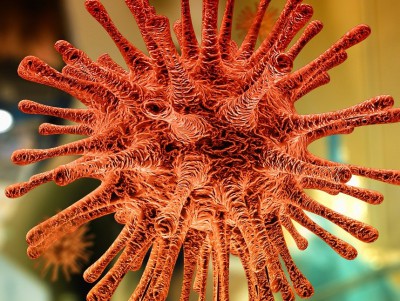 В Роспотребнадзоре опровергли начало второй волны коронавируса - новости ТИА