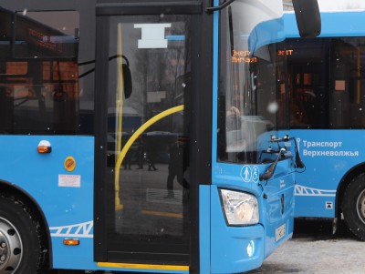 Правительство области: синие автобусы следуют расписанию на 97% - новости ТИА